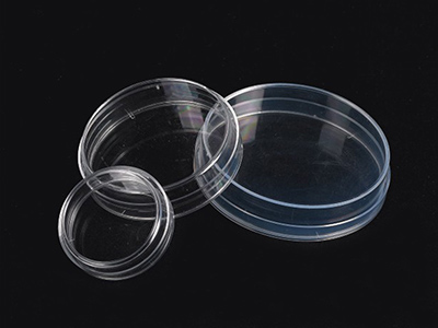 Petri Dish Normal